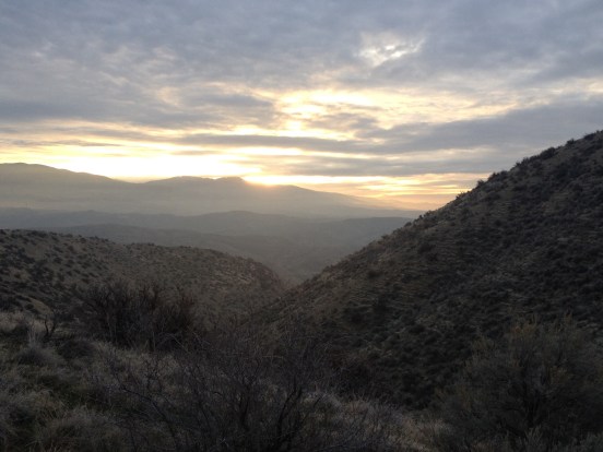 good photo, sage and sunrise