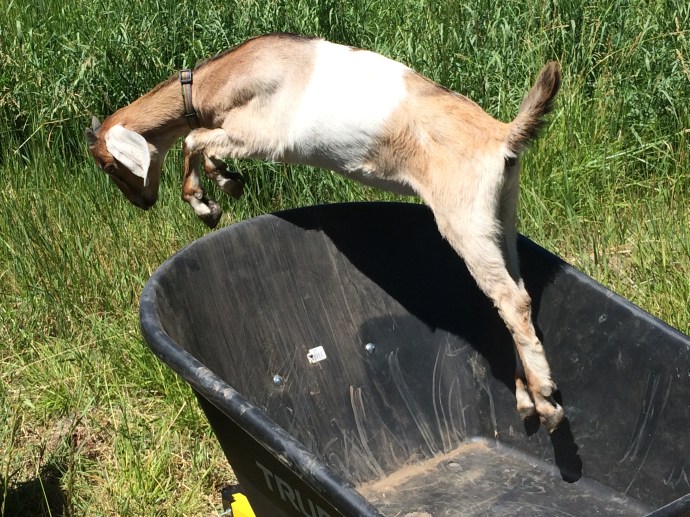 2014 - Pix from Laura's Phone 608